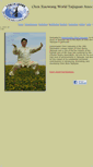 Mobile Screenshot of chenxiaowang.com